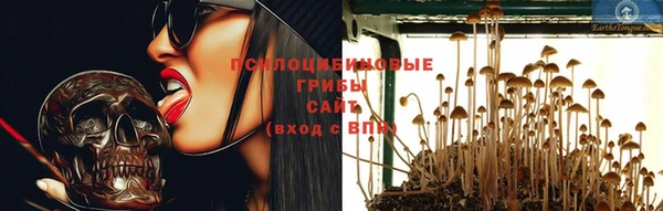 СК Нефтекумск