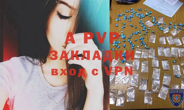мяу мяу мука Нея