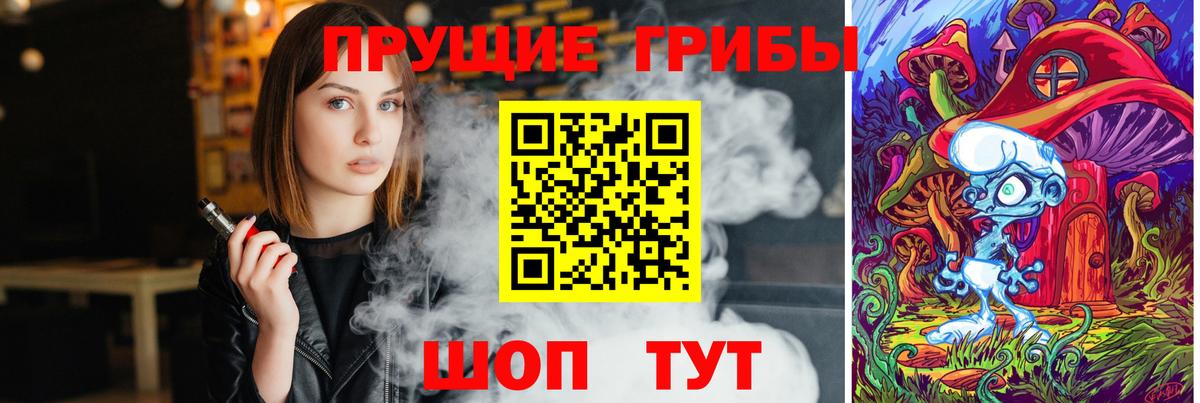 Галлюциногенные грибы Psilocybe  Псилоцибиновые грибы GOLDEN TEACHER  Вход с VPN  Курганинск 